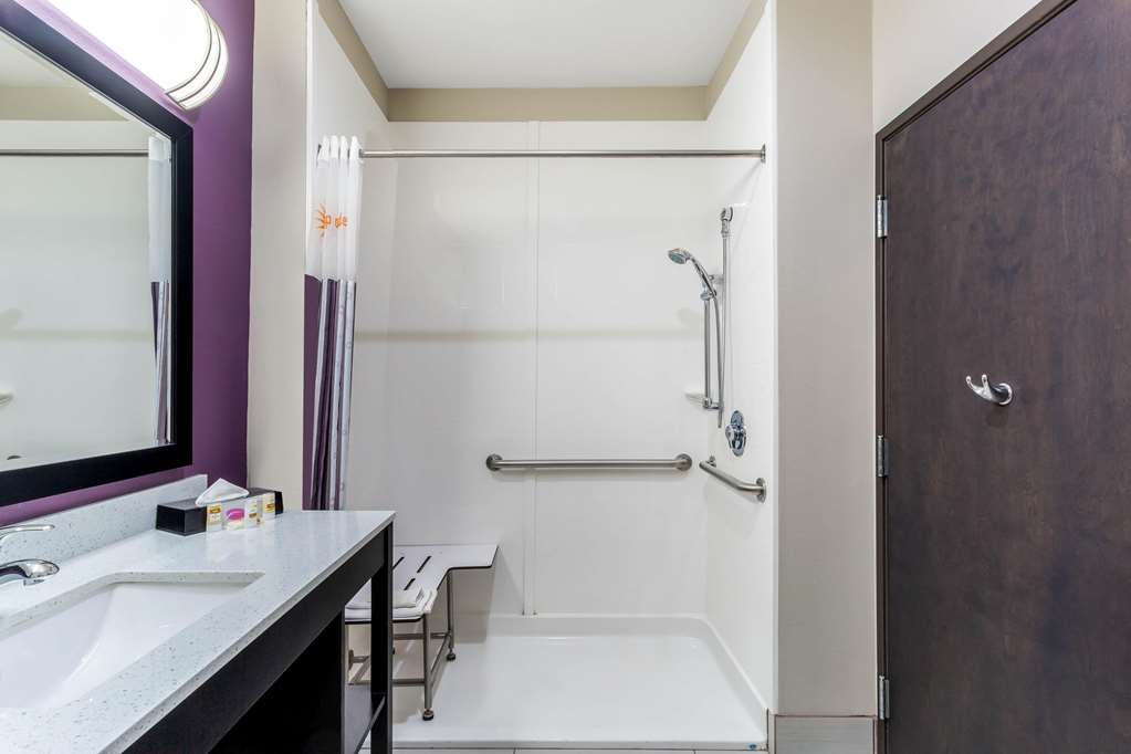 Quality Inn & Suites Colorado City TX - photo 28