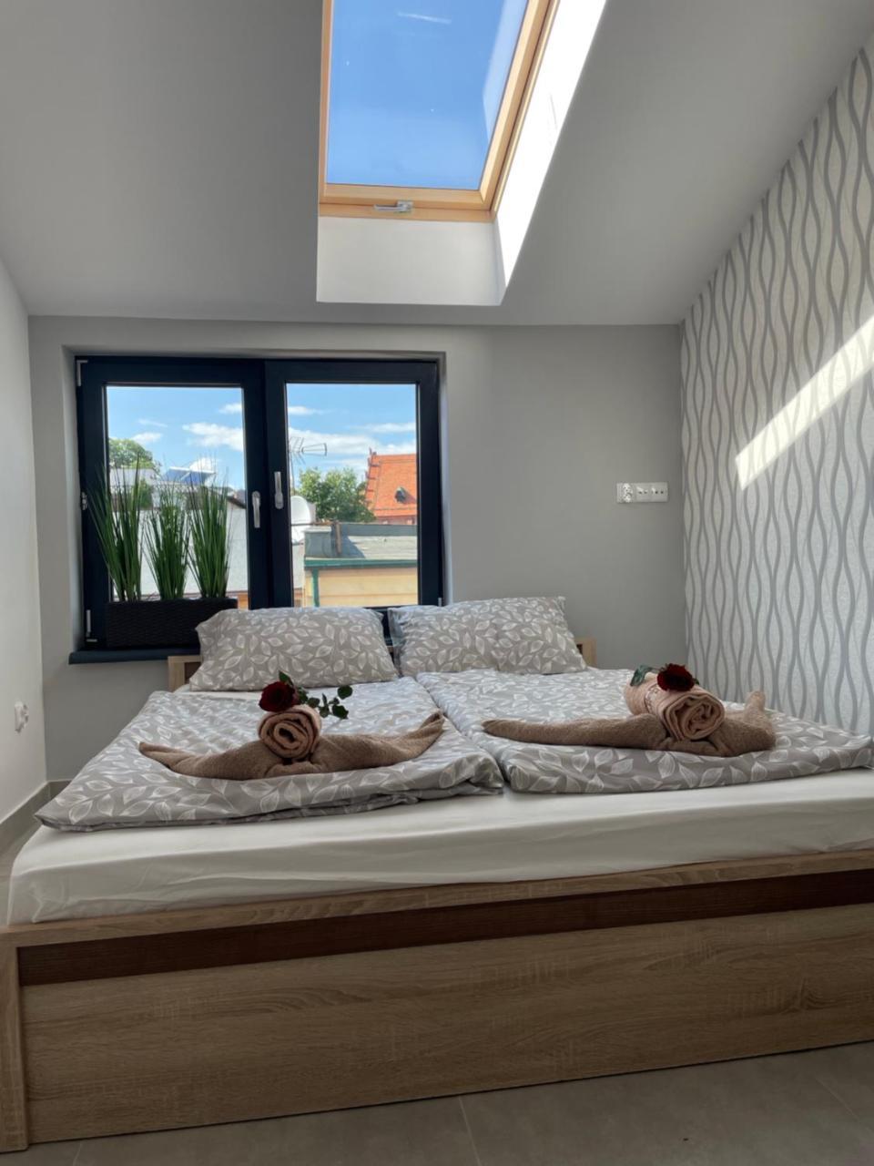 Apartament I w Centrum Winda 50 metrów od Starego Rynku — Koscierzyna — photo 3