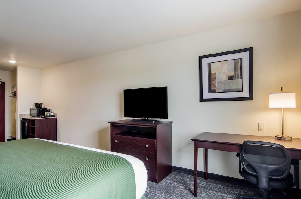 Cobblestone Hotel and Suites Torrington - photo 18