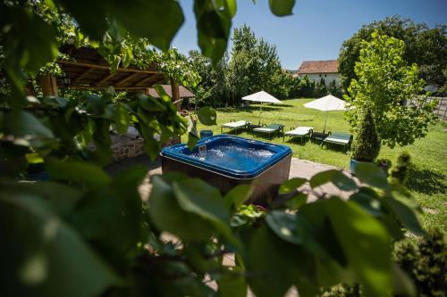 Villa Venus — 5-Star Luxury Hotel in Deva, Romania