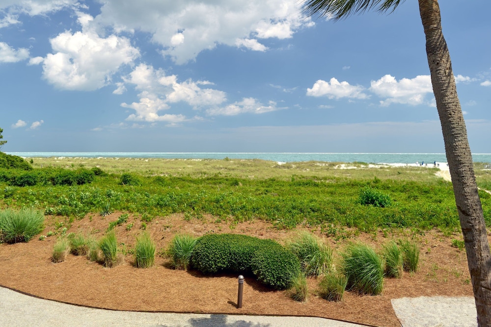 The Westin Hilton Head Island Resort & Spa - photo 33