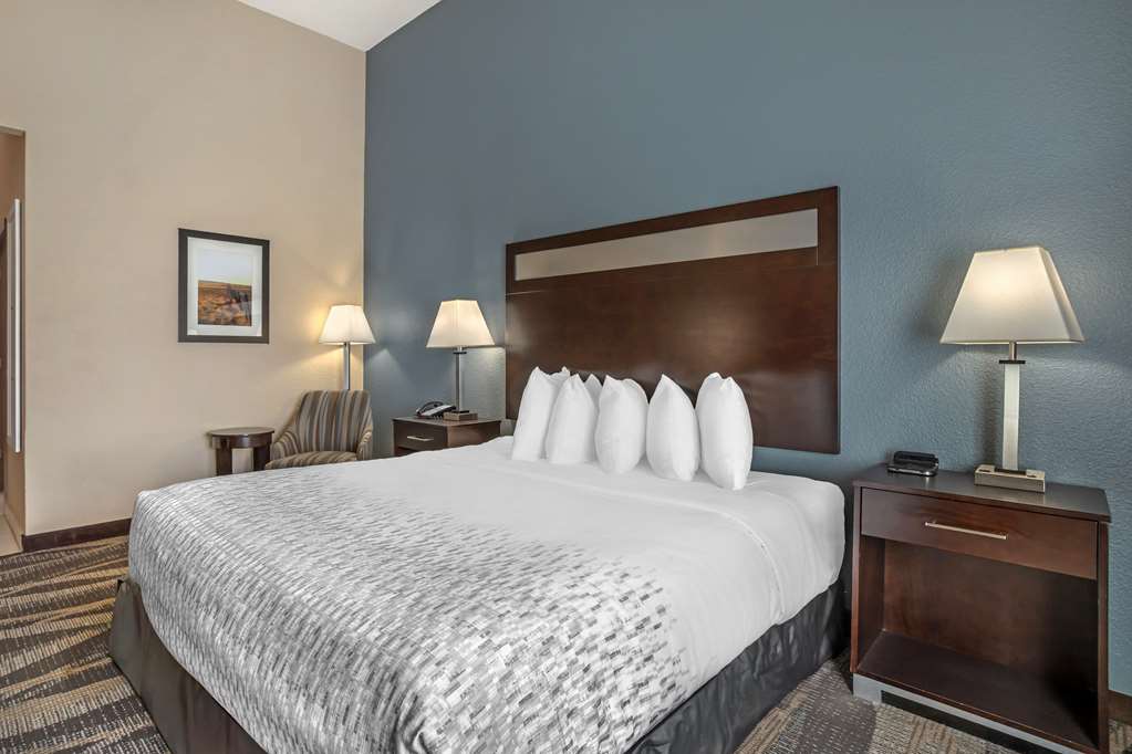 Best Western Plus Lake Jackson Inn & Suites - photo 10