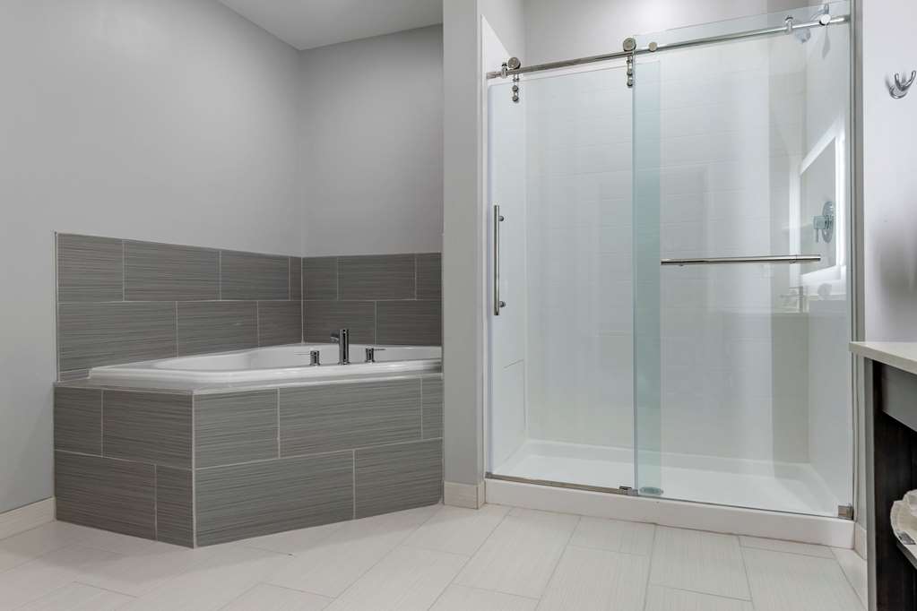 Comfort Suites Greenville Airport - photo 14