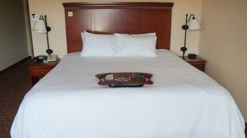 Hampton Inn & Suites Kingman - photo 8