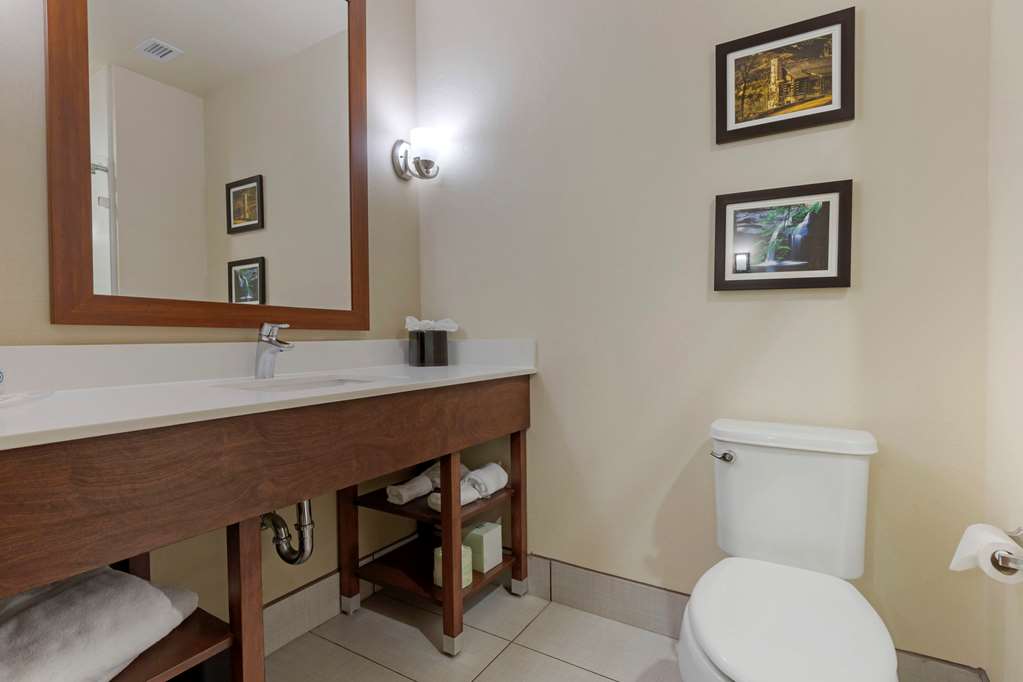 Comfort Suites Piedmont Greenville South - photo 12