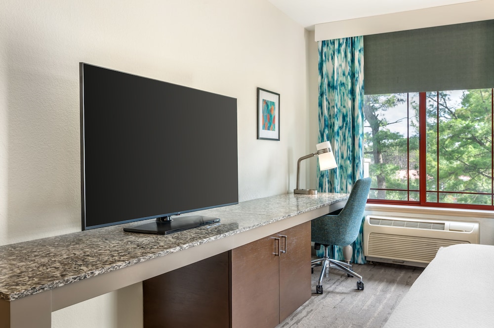 Hilton Garden Inn Wisconsin Dells - photo 30
