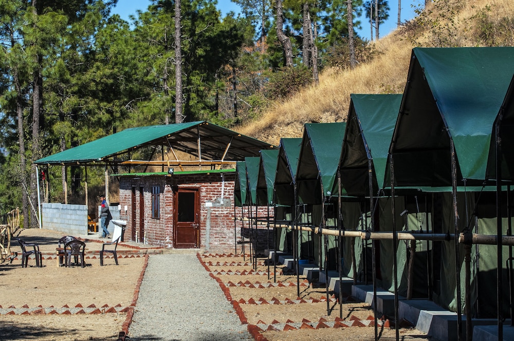 Jungle Stays in Chail, India