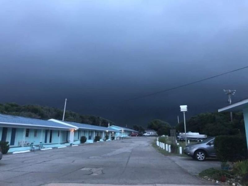 Swell Motel - photo 34
