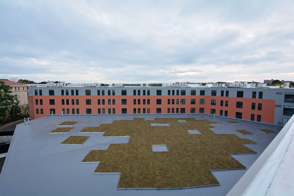 Hampton Inn Salem Boston - photo 41