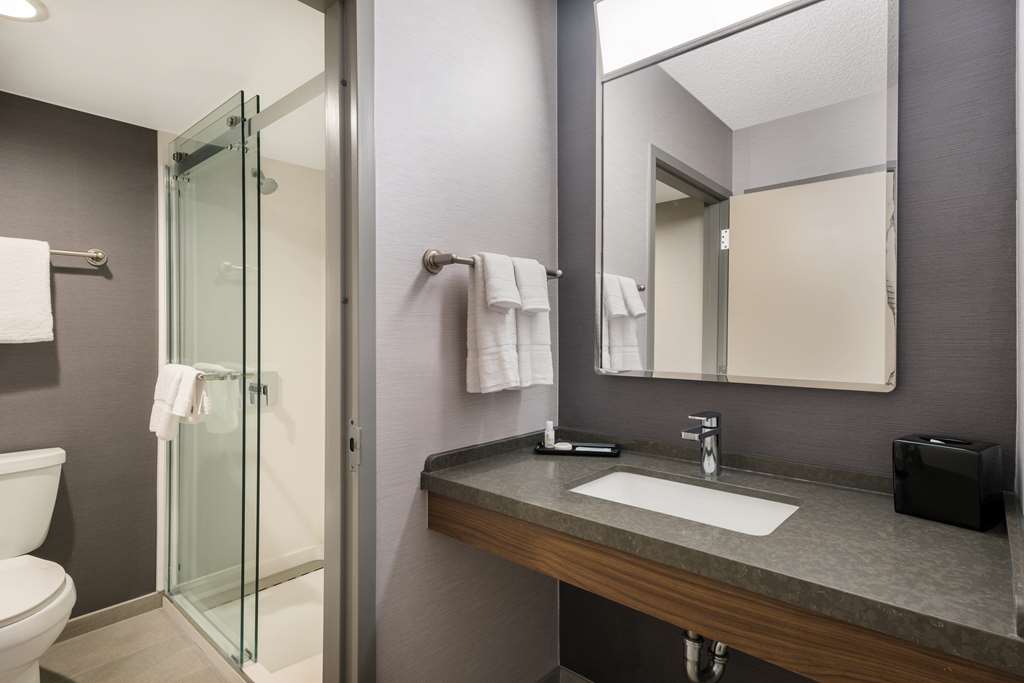 Sonesta Select San Jose Airport - photo 32