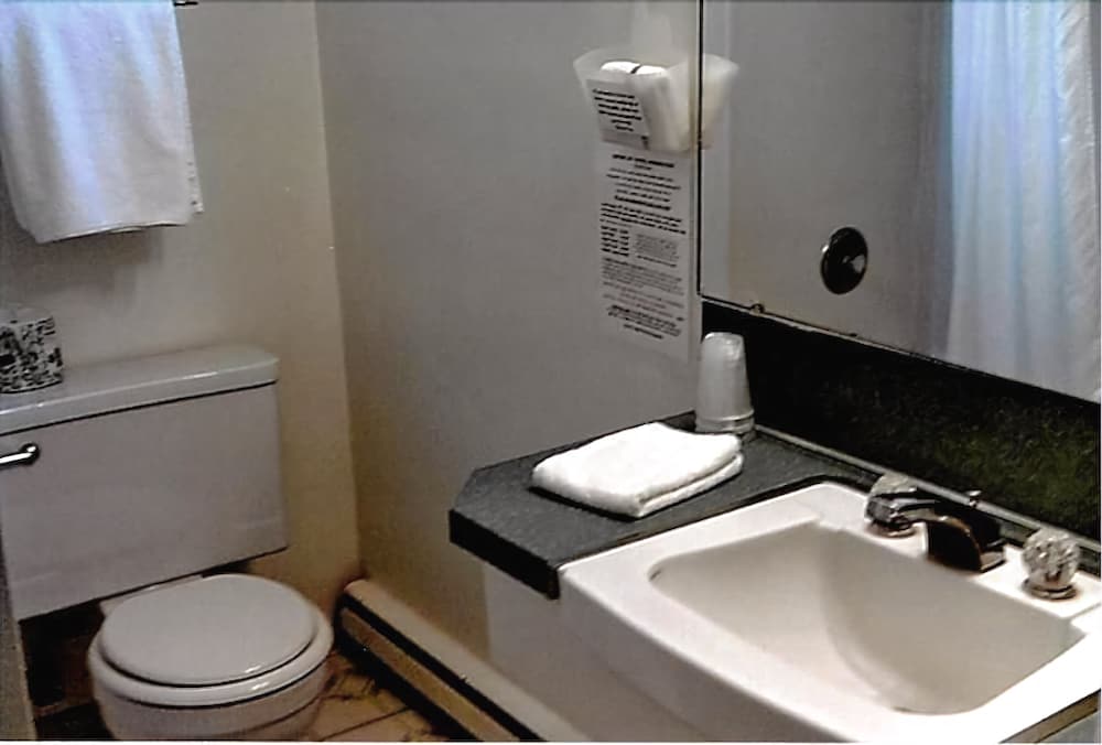 Pine Lodge Motel - photo 13