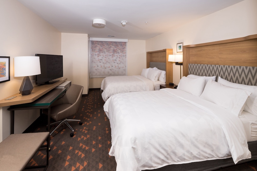 Holiday Inn & Suites Detroit Troy by IHG - photo 3