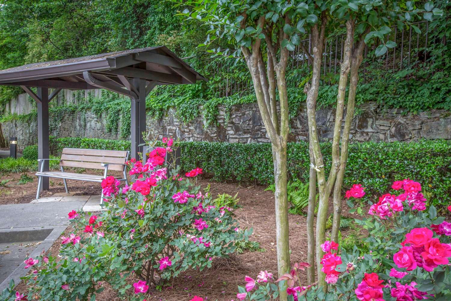 Quality Suites Buckhead Village - photo 22