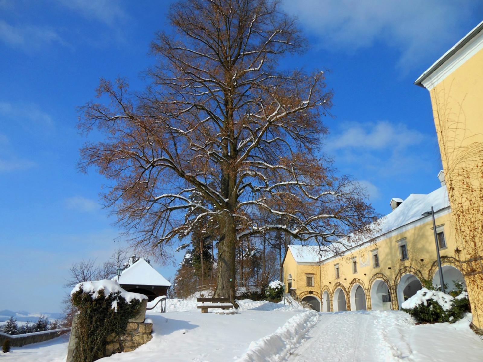 Schatz.Kammer Burg Kreuzen — hotel in Bad Kreuzen