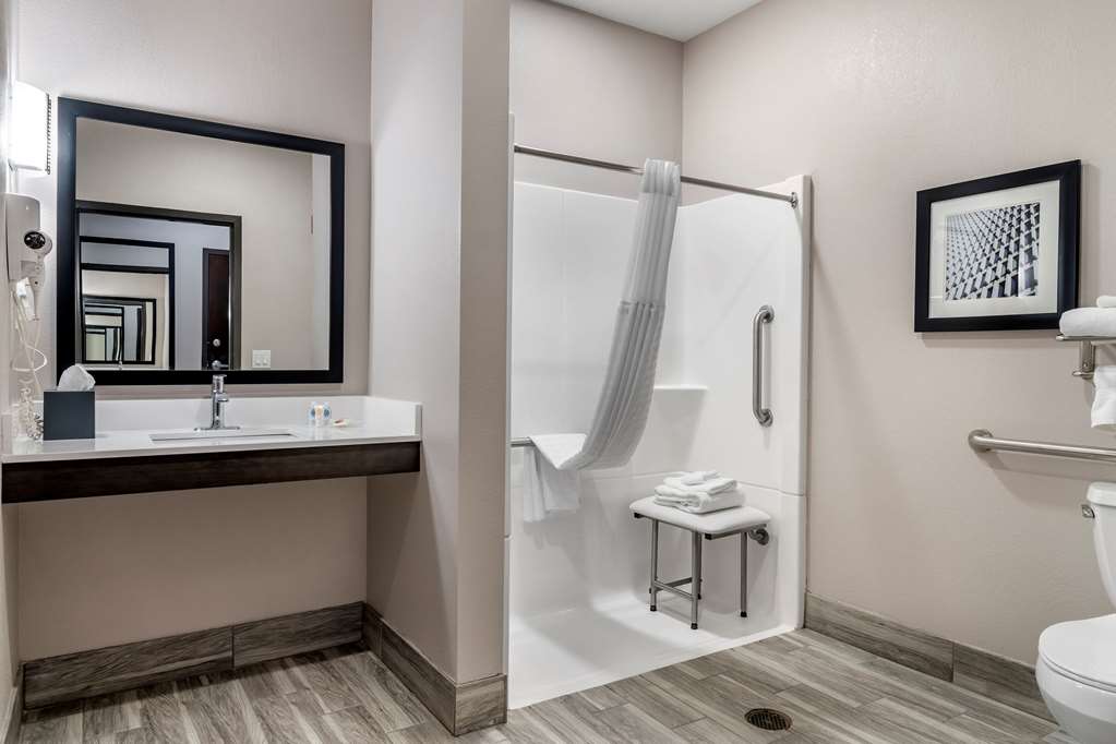 Comfort Suites McDonough Atlanta South - photo 14