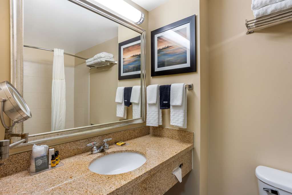 Best Western Plus University Park Inn & Suites - photo 38
