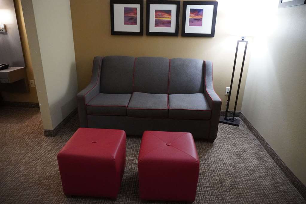 Comfort Inn & Suites Monahans I 20 - photo 19