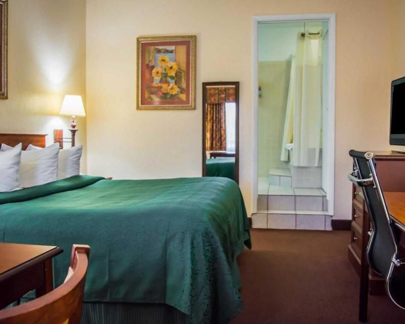 Quality Inn Weeki Wachee Spring Hill - photo 19