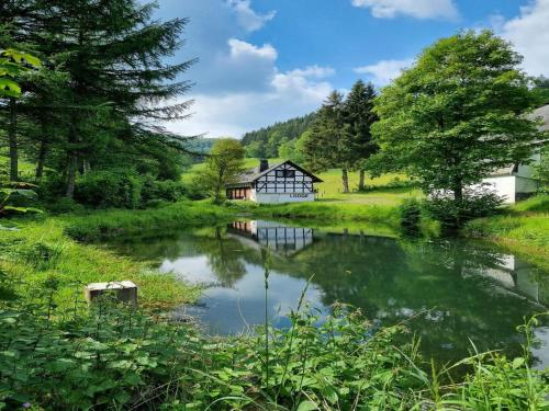 Rückzugsort am Teich in Winterberg in Winterberg, Germany