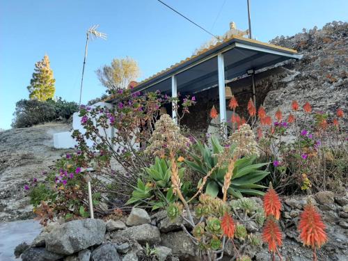 La Cuevita de Hilario — hotel in Artenara