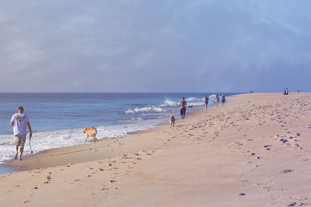 Hyatt Place Dewey Beach - photo 5