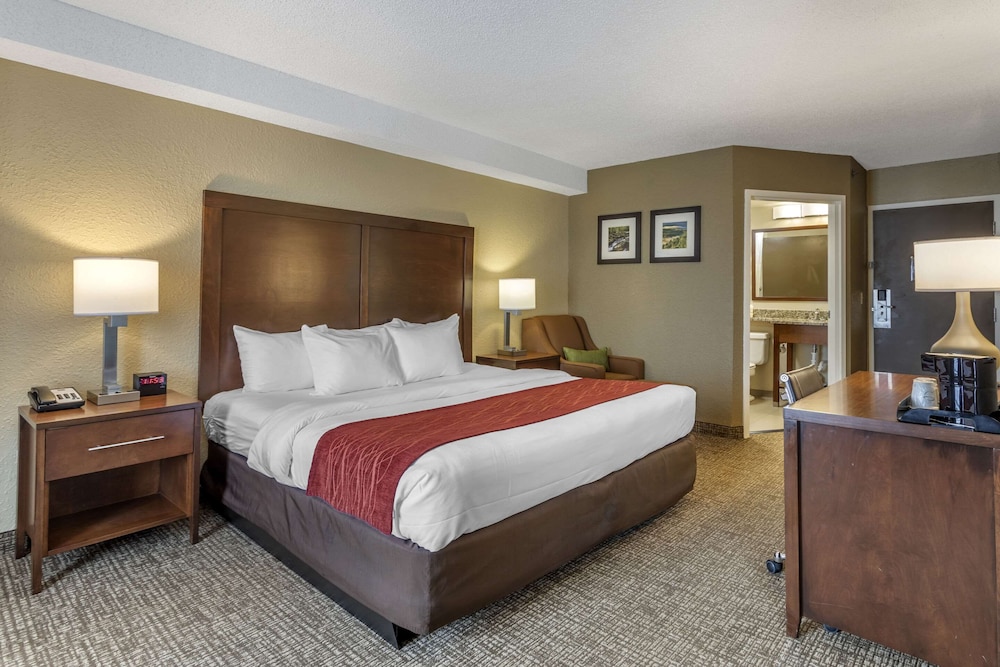 Comfort Inn Kingsport Southeast - photo 13