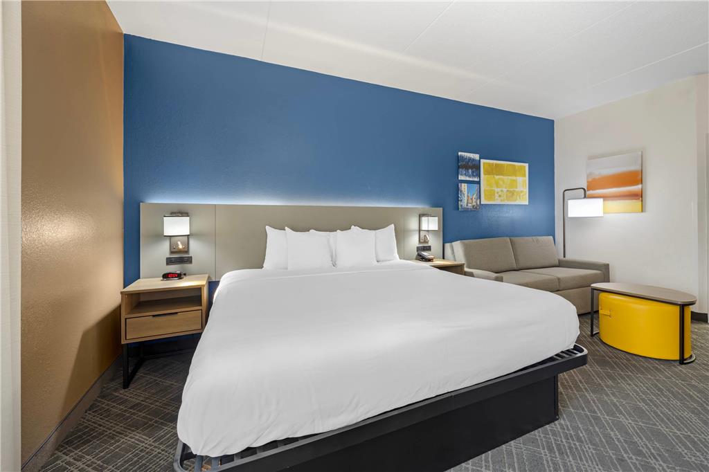 Comfort Inn Chattanooga Downtown Southside - photo 36
