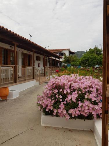 Asimina's House — 4-Star Luxury Hotel in Skiathos, Greece