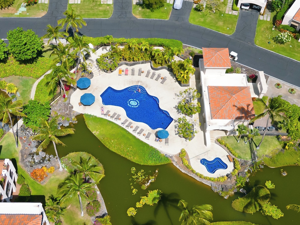 Hilton Pool Pass Incl. Serene Resort Gem - photo 29