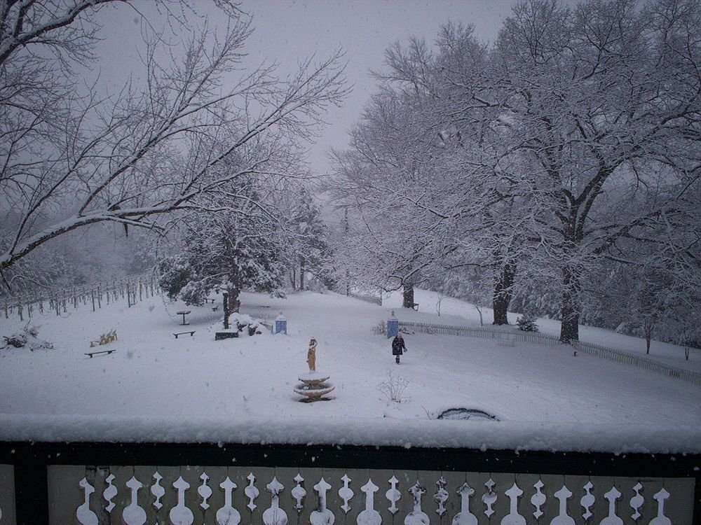 High Meadows Vineyard Inn - photo 2