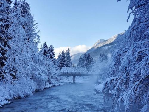 Comfy mountain nest — Mojstrana — photo 4