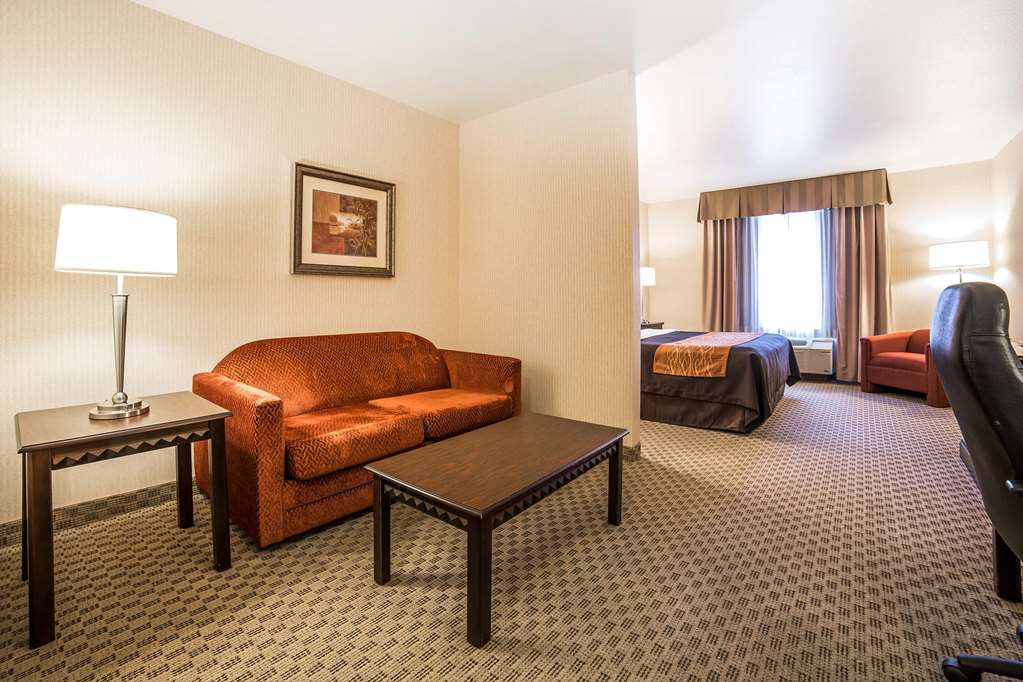 Comfort Inn & Suites Henderson Las Vegas - photo 24