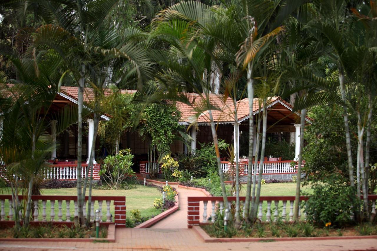 Radiant Resort — Bengaluru — photo 3
