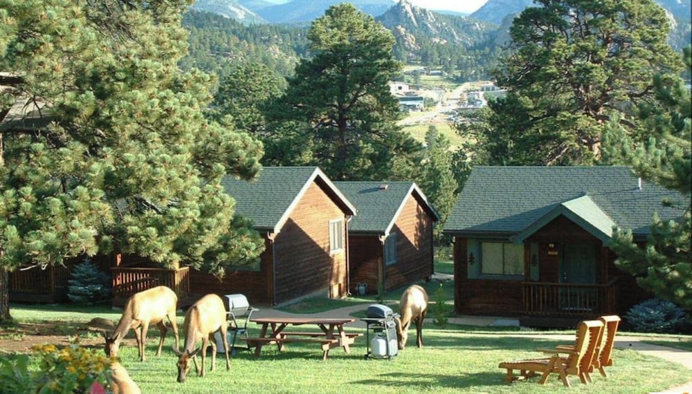 Mountain Shadows Resort - photo 40