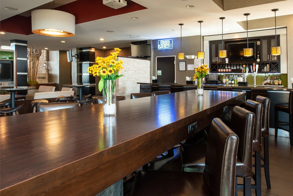 Holiday Inn Amarillo West Medical Center by IHG - photo 34