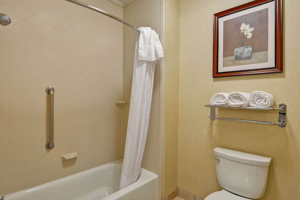 Homewood Suites Houston West Energy Corridor - photo 26