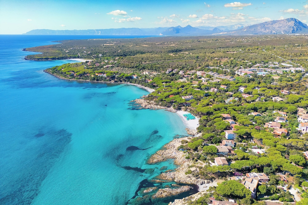 Nicolaus Club Alba Dorata