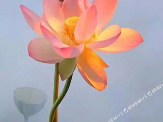 Jianghu Yeyu Inn in Jinping, People's Republic of China