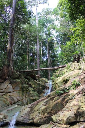 Nanga Damai Homestay — Kuching — photo 2