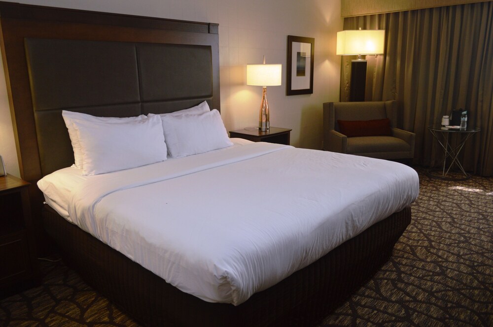 North Baltimore Plaza Hotel - photo 10