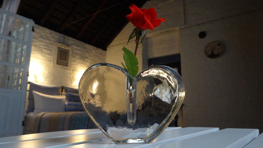 The Globe Inn — Yass — photo 4