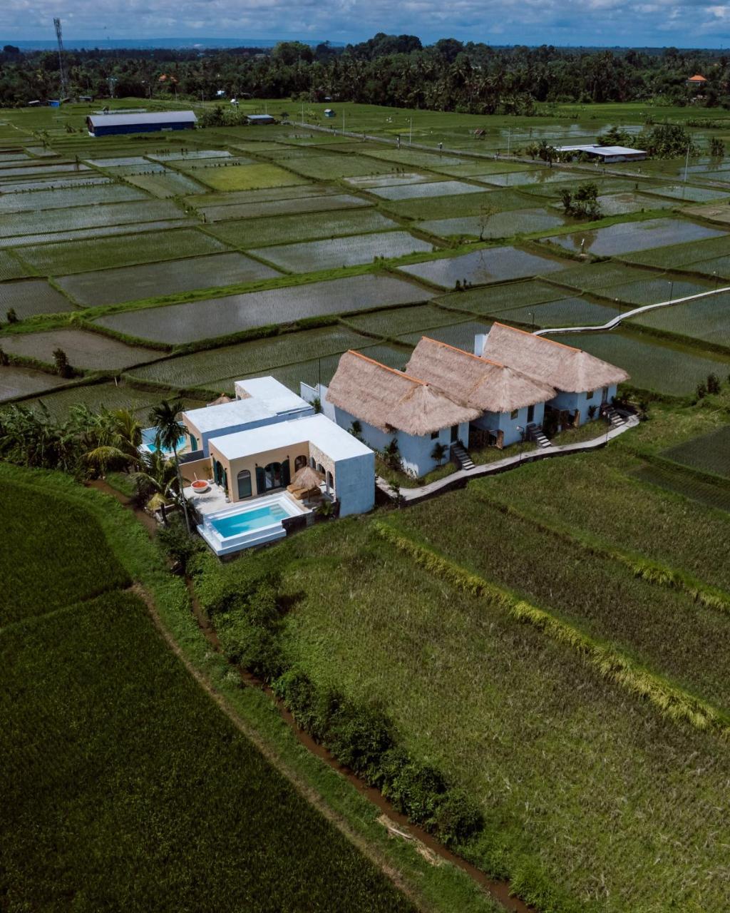 Woywoy Escape Samu - last minute hotel in Ubud