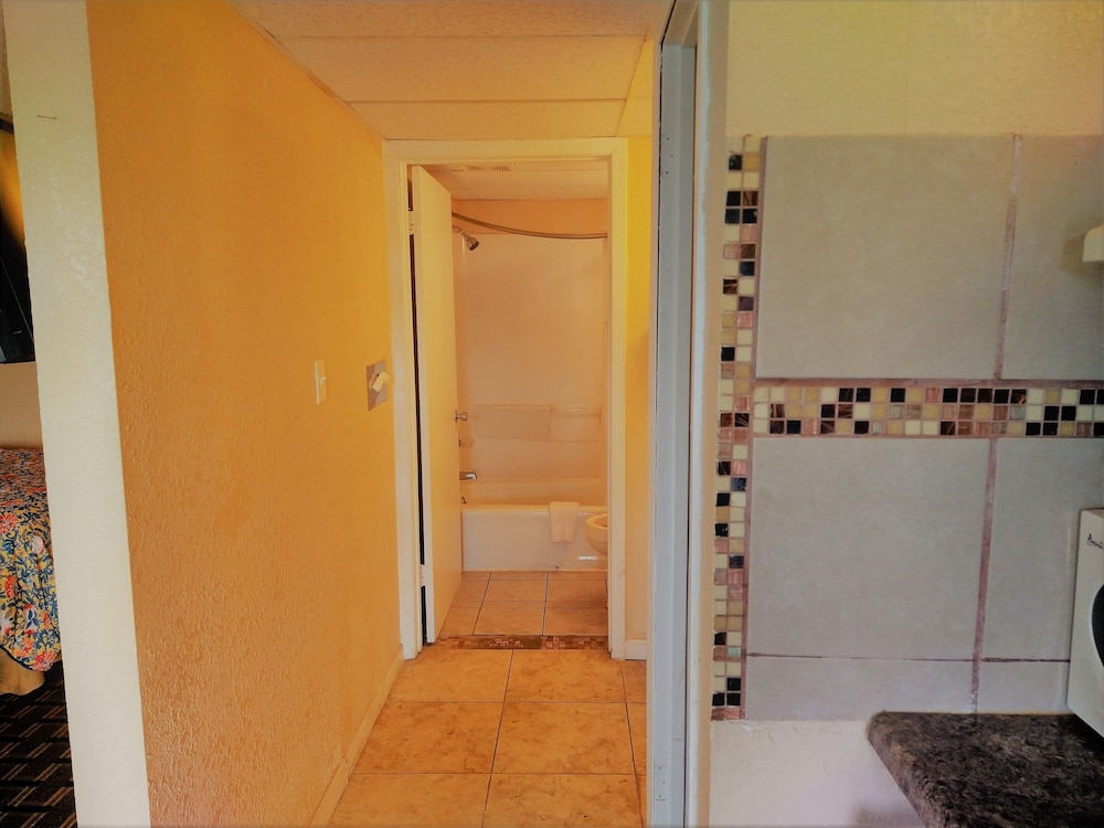 Grand View Plaza Inn & Suites - photo 83