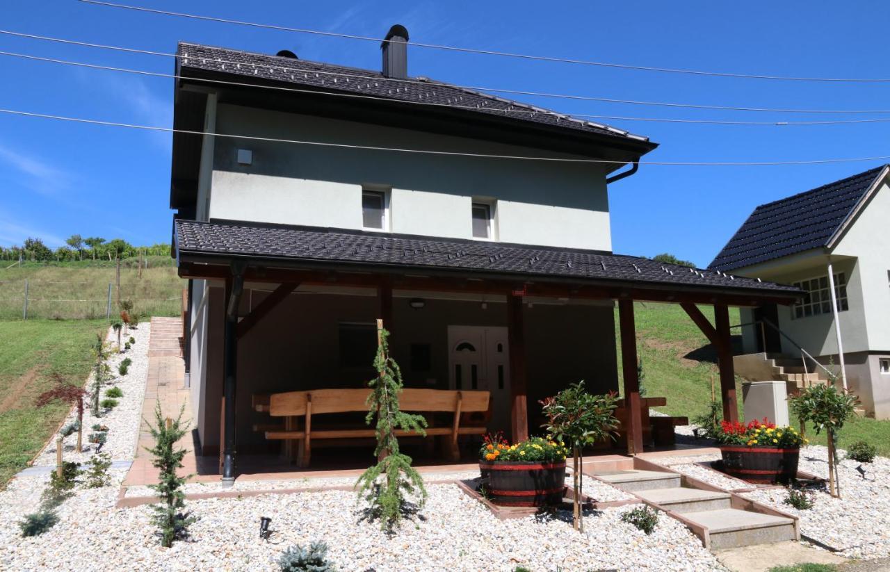 Vila Tamaskut — Lendava — photo 3