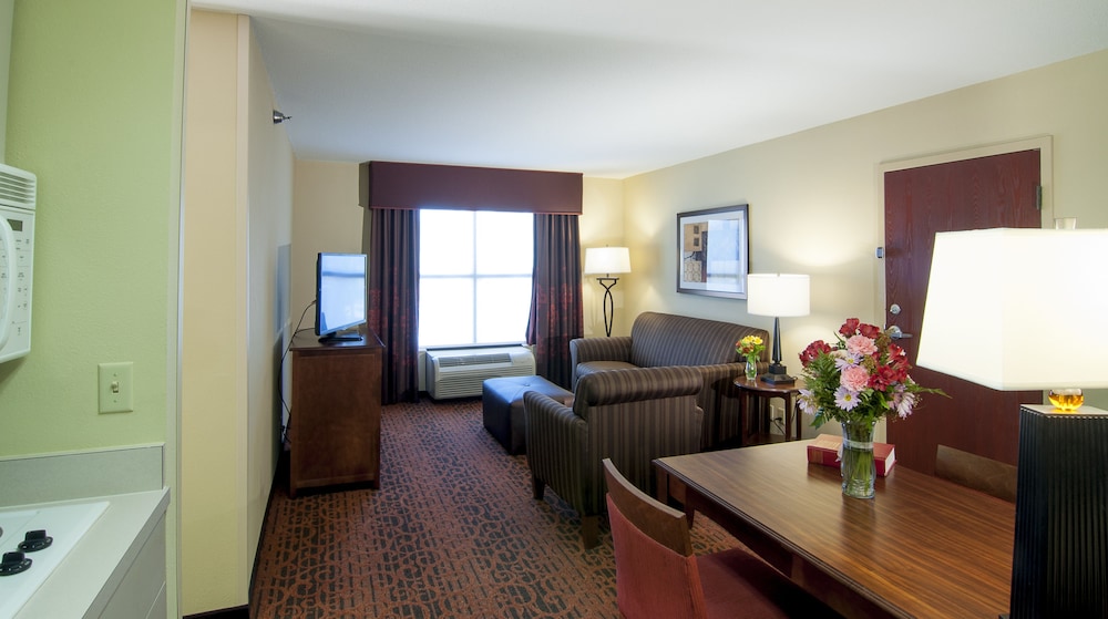 Hampton Inn & Suites Tampa North - photo 22
