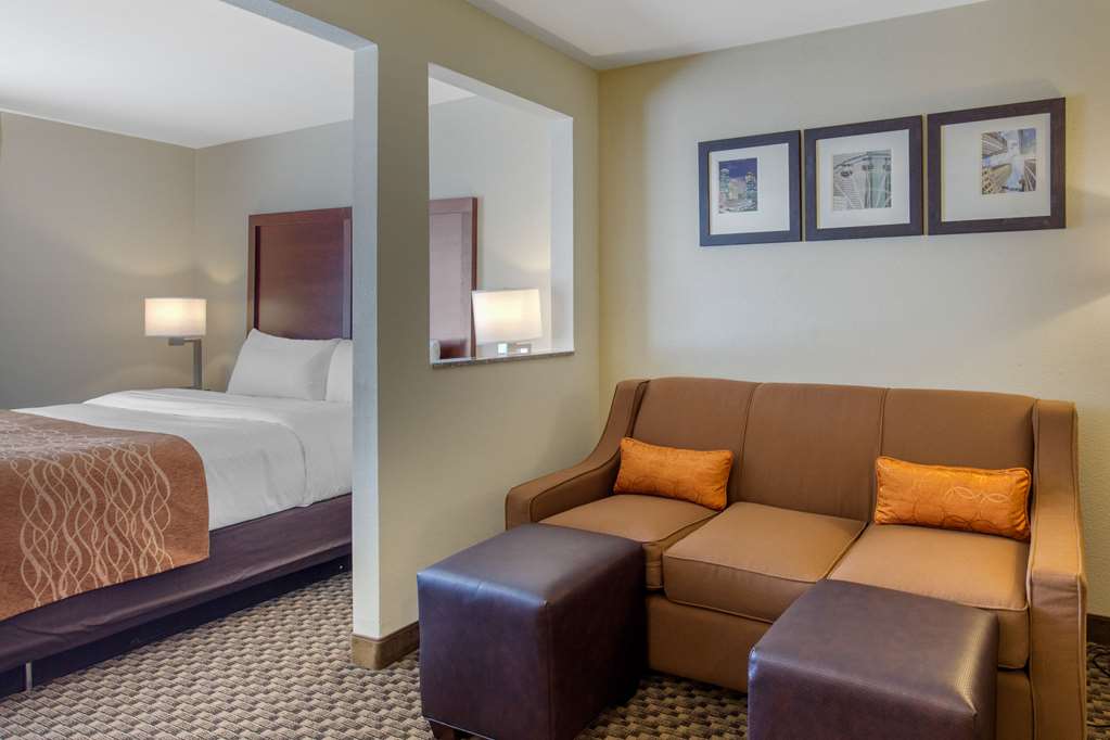 Comfort Inn & Suites SW Houston Sugarland - photo 25