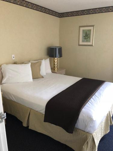 Bal Harbour Hotels - photo 61