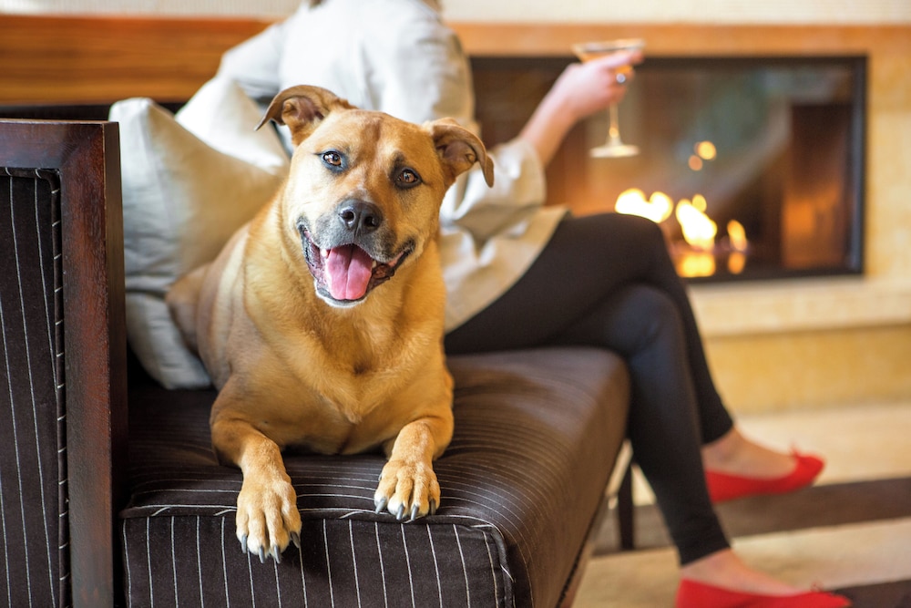 Pan Pacific Seattle - photo 5