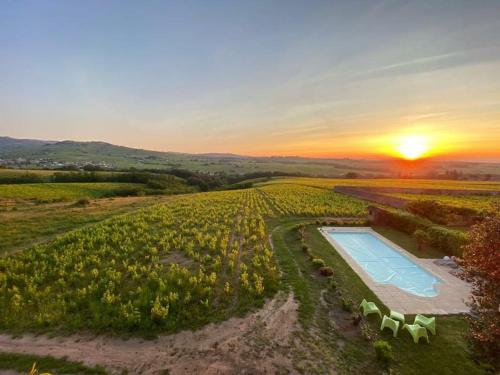 Au Cœur Des Vignes Chenas du Beaujolais — hotel in La Chapelle-De-Guinchay