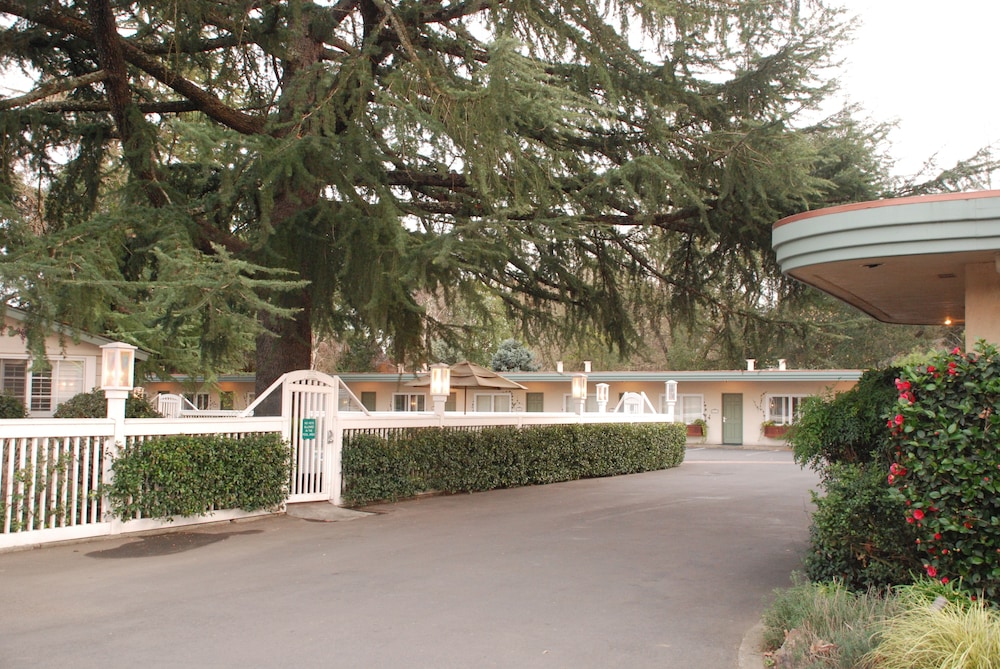 El Bonita Motel - photo 109